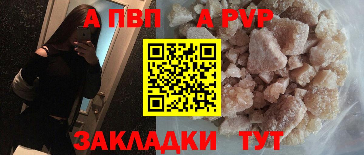 A PVP СК Новороссийск