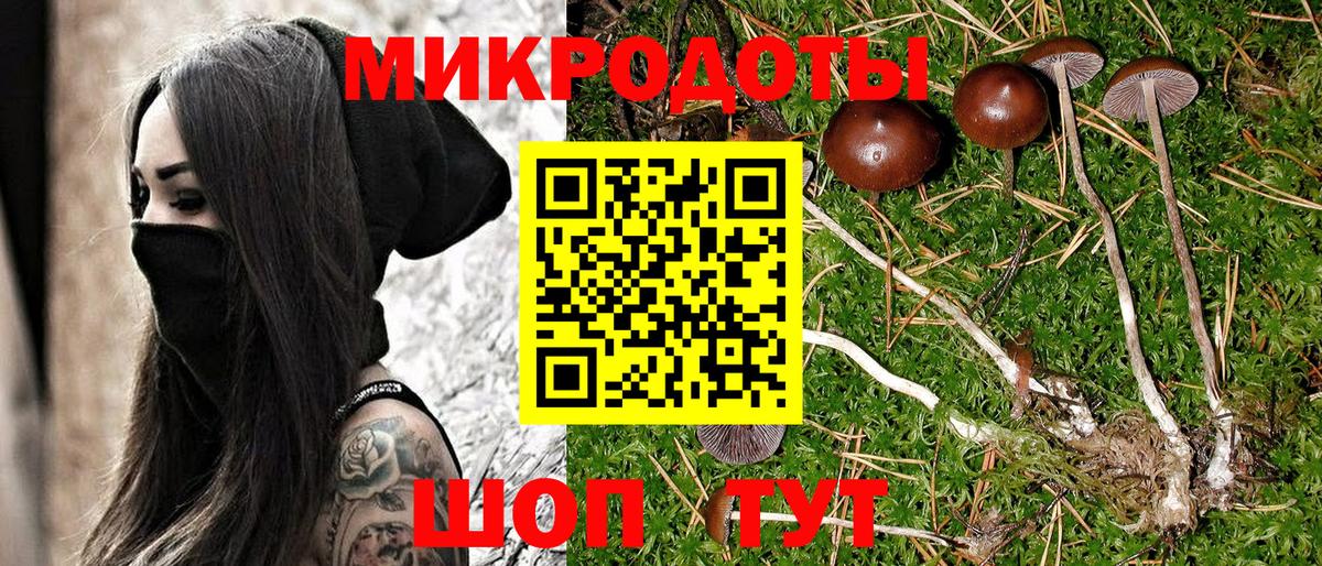 Галлюциногенные грибы мухоморы  Галлюциногенные грибы ЛСД  Новороссийск  Вход с VPN 
