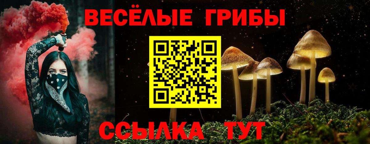 Галлюциногенные грибы Cubensis Новороссийск